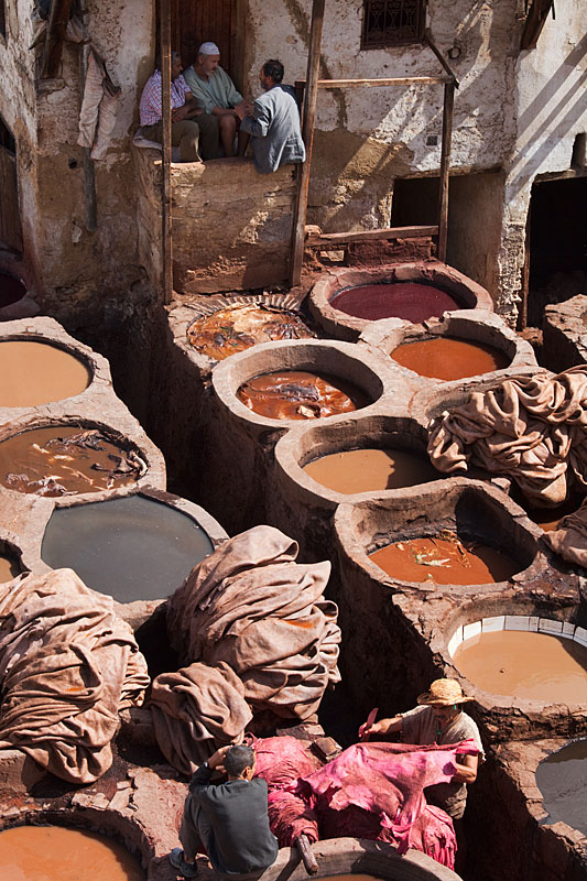  The tanneries of Fez   Morocco